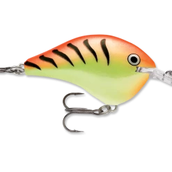 Rapala Dt Series Crankbait Dt6