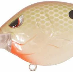 Spro Fat Papa 70 Baits