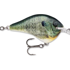 Rapala Dt Series Crankbait Dt6