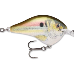 Rapala Dt Series Crankbait Dt6