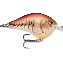 Rapala Dt Series Crankbait Dt6