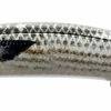 Duo International Duo Realis Jerkbait 120SP Saltwater Limited