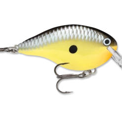 Rapala Dt Series Crankbait Dt4