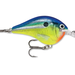 Rapala Dt Series Crankbait Dt6