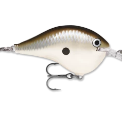 Rapala Dt Series Crankbait Dt6