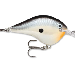 Rapala Dt Series Crankbait Dt6
