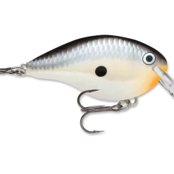 Rapala Dt Series Crankbait Dt4