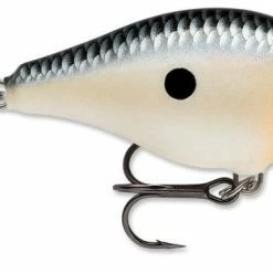 Rapala Scatter Rap Crank Shallow 2
