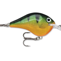 Rapala Dt Series Crankbait Dt6