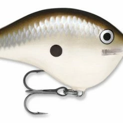 Baits Rapala Dt Series Crankbait Dt16 70 Baits Rapala Dt Series Crankbait Dt16