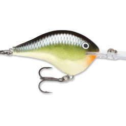 Baits Rapala Dt Series Crankbait Dt10