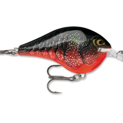 Rapala Dt Series Crankbait Dt6