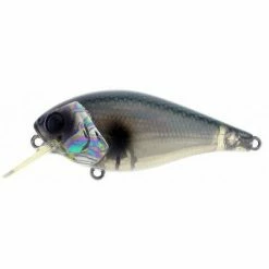 River2Sea Ish Monroe Biggie Poppa Bumpin' Rattle Fast