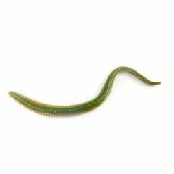 Berkley Gulp! Sandworm 6 Inch 10 Pack