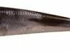 Berkley Gulp! Minnow 3 Inch 12 Pack