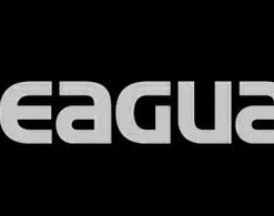 Seaguar 14 Inch Boat/Window Vinyl Letter Decals (2 Pack) Accessories