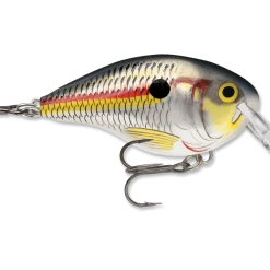 Rapala Dt Series Crankbait Dt4