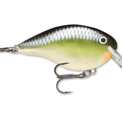 Rapala Dt Series Crankbait Dt4