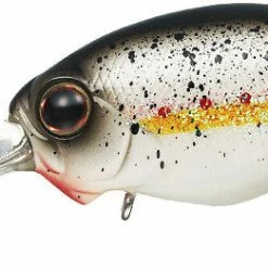 Baits Evergreen International Wh-5 Crankbait 12 Baits Evergreen International Wh-5 Crankbait