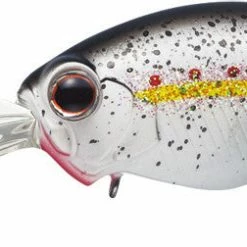 Evergreen International Wh-8 Crankbait Baits 12 Evergreen International Wh-8 Crankbait Baits