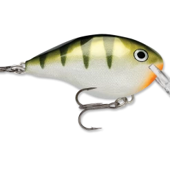 Rapala Dt Series Crankbait Dt4