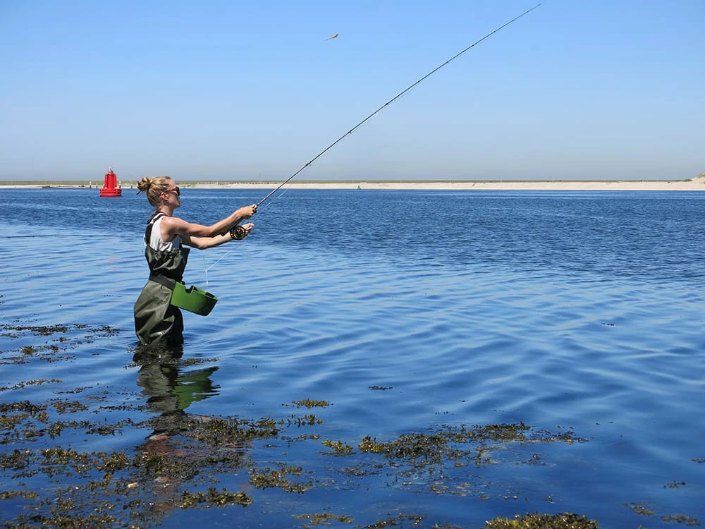 Pro Tackle Solutions Sales -Pro Tackle Solutions Sales web6